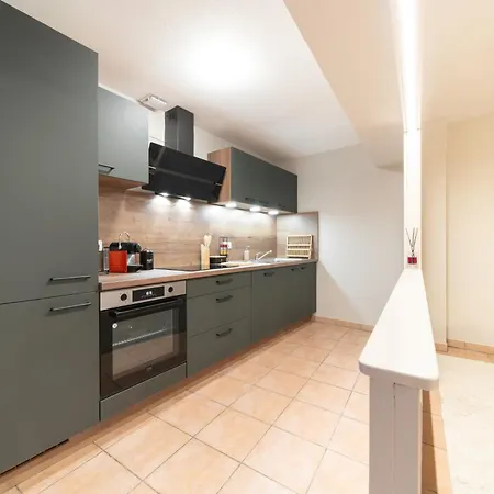 Appartement Le Grand Lion Colmar Centre Parking Gratuit Extérieur photo